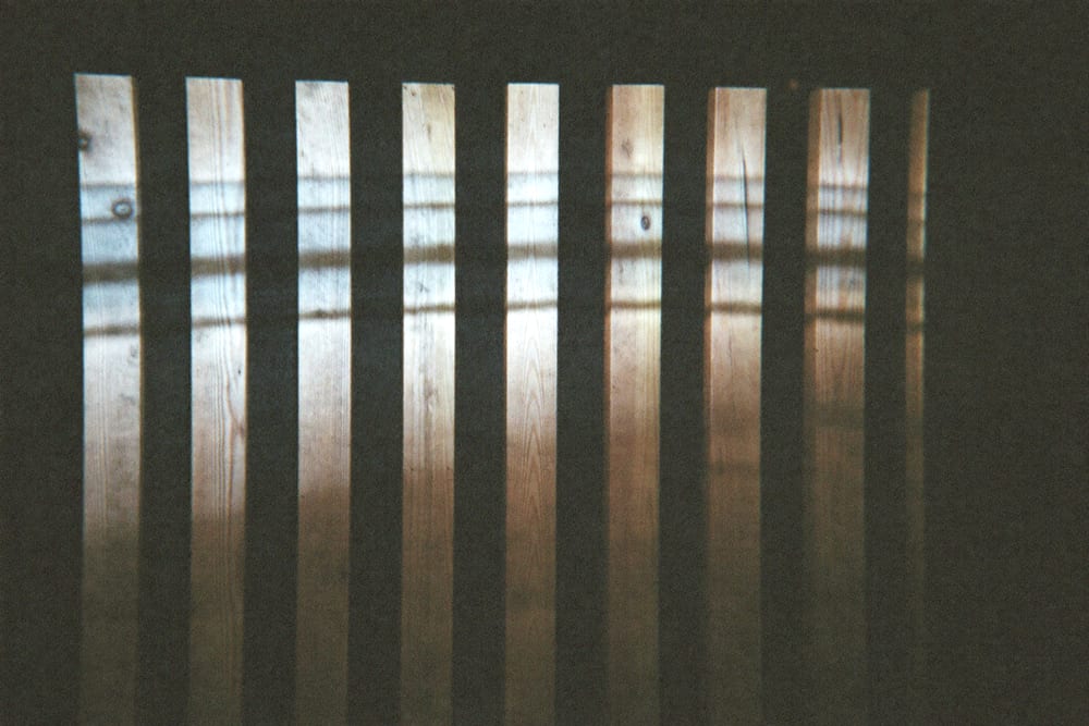 A wall of vertical wooden acoustic slats with dark felt behind them, lit from the side.
